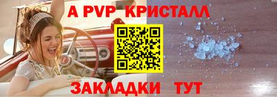 спиды Гусев