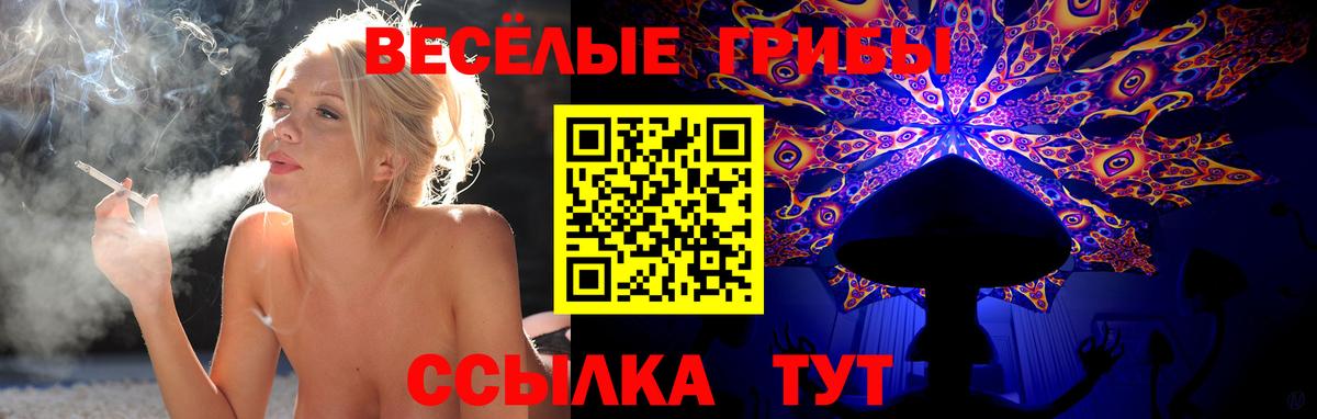 Псилоцибиновые грибы мухоморы  Вход с VPN  Нижнекамск  Галлюциногенные грибы GOLDEN TEACHER 